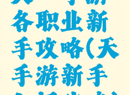 天谕手游各职业新手攻略(天谕手游新手入门攻略)