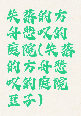 失落的方舟悲叹的庭院(失落的方舟悲叹的庭院豆子)