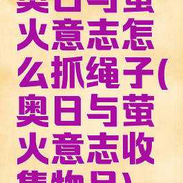 奥日与萤火意志怎么抓绳子(奥日与萤火意志收集物品)