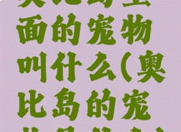奥比岛里面的宠物叫什么(奥比岛的宠物是什么)
