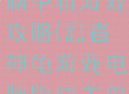 忍者神龟电脑单机游戏攻略(忍者神龟游戏电脑版闯关单机)
