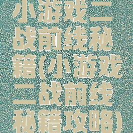 小游戏二战前线秘籍(小游戏二战前线秘籍攻略)