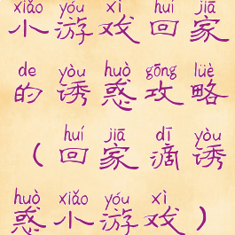 小游戏回家的诱惑攻略(回家滴诱惑小游戏)