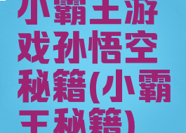 小霸王游戏孙悟空秘籍(小霸王秘籍)