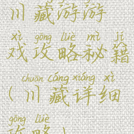川藏游游戏攻略秘籍(川藏详细攻略)