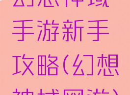 幻想神域手游新手攻略(幻想神域网游)