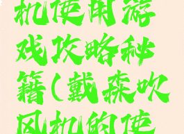 戴森吹风机使用游戏攻略秘籍(戴森吹风机的使用方法)