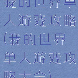 我的世界单人游戏攻略(我的世界单人游戏攻略大全)