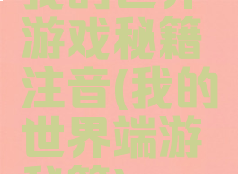我的世界游戏秘籍注音(我的世界端游秘籍)
