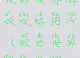 我的世界游戏攻略图片(我的世界攻略大全)