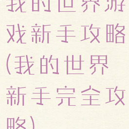 我的世界游戏新手攻略(我的世界新手完全攻略)