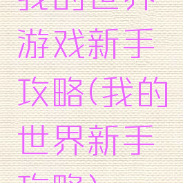 我的世界游戏新手攻略(我的世界新手攻略)