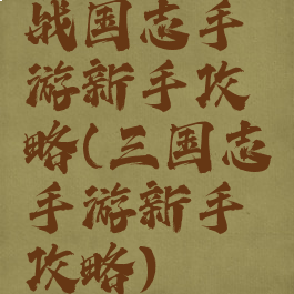 战国志手游新手攻略(三国志手游新手攻略)