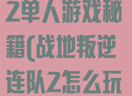 战地叛逆连队2单人游戏秘籍(战地叛逆连队2怎么玩)