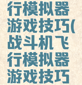 战斗机飞行模拟器游戏技巧(战斗机飞行模拟器游戏技巧攻略)