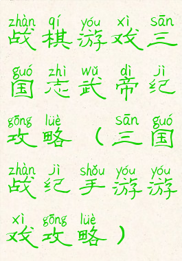 战棋游戏三国志武帝纪攻略(三国战纪手游游戏攻略)