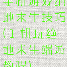 手机游戏绝地求生技巧(手机玩绝地求生端游教程)