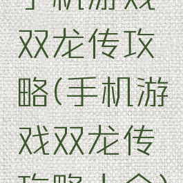 手机游戏双龙传攻略(手机游戏双龙传攻略大全)