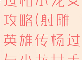 手机游戏杨过和小龙女攻略(射雕英雄传杨过与小龙女手游)