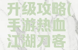 手游热血江湖刀客升级攻略(手游热血江湖刀客升级攻略大全)