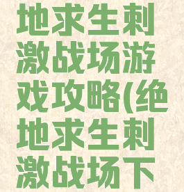 手游版绝地求生刺激战场游戏攻略(绝地求生刺激战场下载手游)