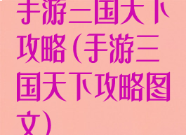 手游三国天下攻略(手游三国天下攻略图文)