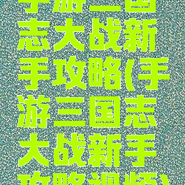 手游三国志大战新手攻略(手游三国志大战新手攻略视频)
