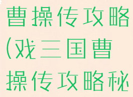 手游三国戏曹操传攻略(戏三国曹操传攻略秘籍)