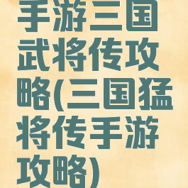 手游三国武将传攻略(三国猛将传手游攻略)