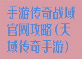 手游传奇战域官网攻略(天域传奇手游)