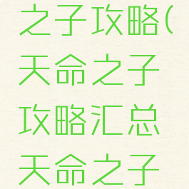 手游天命之子攻略(天命之子攻略汇总天命之子玩法详解)
