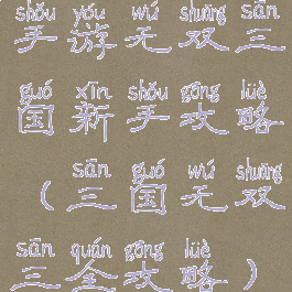 手游无双三国新手攻略(三国无双三全攻略)