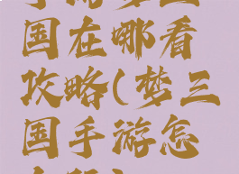 手游梦三国在哪看攻略(梦三国手游怎么玩)