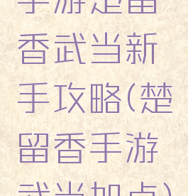 手游楚留香武当新手攻略(楚留香手游武当加点)