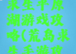 手游荒岛求生平原湖游戏攻略(荒岛求生手游攻略)