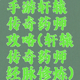 手游轩辕传奇药师攻略(轩辕传奇药师经脉修炼)