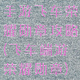 手游飞车荣耀勋章攻略(飞车端游荣耀勋章)