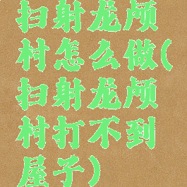 扫射龙颅村怎么做(扫射龙颅村打不到屋子)