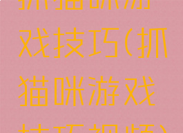 抓猫咪游戏技巧(抓猫咪游戏技巧视频)