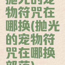 抛光的宠物符咒在哪换(抛光的宠物符咒在哪换部落)