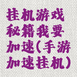 挂机游戏秘籍我要加速(手游加速挂机)