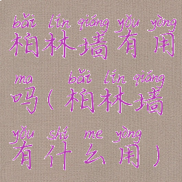 柏林墙有用吗(柏林墙有什么用)
