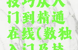 数独游戏技巧从入门到精通在线(数独入门及技巧3×3)