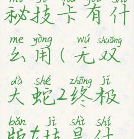 无双大蛇2秘技卡有什么用(无双大蛇2终极版t技是什么)
