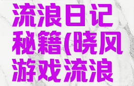 晓风游戏流浪日记秘籍(晓风游戏流浪日记2)