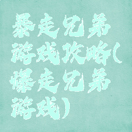 暴走兄弟游戏攻略(爆走兄弟游戏)