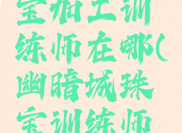 暴风城珠宝加工训练师在哪(幽暗城珠宝训练师在哪)