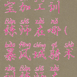 暴风城珠宝加工训练师在哪(暴风城骑术训练师在哪)