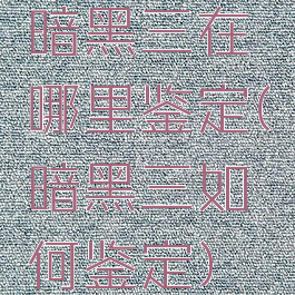 暗黑三在哪里鉴定(暗黑三如何鉴定)