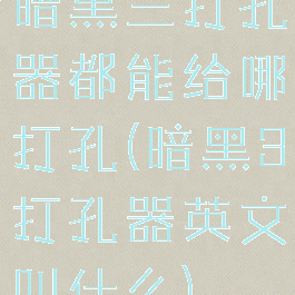 暗黑三打孔器都能给哪打孔(暗黑3打孔器英文叫什么)